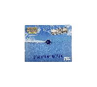 Death in Antarctica Murder Mystery Case File