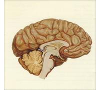 Death In Vegas The Contino Sessions 1999 European CD album 661992