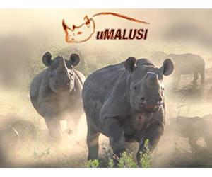 Death, Like Birth Is A Secret Of Nature