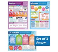 Death Posters - Set of 3 | Religious Education Posters | Gloss Paper measuring 850mm x 594mm (A1) | Religious Studies Charts for the Classroom | Education Charts by Daydream Education