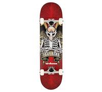 DEATH SKATEBOARDS Birdhouse Factory Complete Skateboartd Stage 1 Tony Hawk Icon Red 8"