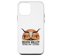 Death Valley National Park California Skull Desert Sunset Case for iPhone 12 mini