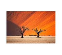Death Valley Poster in Namibia Canvas Poster Bedroom Decor Landscape Office Room Decor Gift 16x24inch(40x60cm)