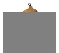 Death Whistle | Gothic Sound Maker Toys | Gothic Meditation Whistle,for Outdoor Stress Reduction Halloween Party Supplies Kids Adults Youth Haunted House