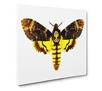 Deaths head Moth Canvas Print | Gallery Wrapped 30mm Frame Wall Art | 20x20 inches | Ready to Hang | Retro Picture | Living Room Bedroom Lounge Office
