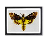 Deaths head Moth Modern Framed Print | A3 Black Framed Wall Art | Ready to Hang | Modern Nature Picture | Living Room Bedroom Lounge Office