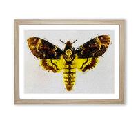 Deaths head Moth Modern Framed Print | A3 Oak Framed Wall Art | Ready to Hang | Modern Nature Picture | Living Room Bedroom Lounge Office