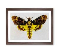 Deaths head Moth Modern Framed Print | A4 Walnut Framed Wall Art | Ready to Hang | Modern Nature Picture | Living Room Bedroom Lounge Office