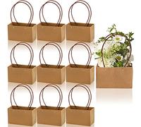 DEAYOU 10 Pack Kraft Paper Flower Gift Bags, Brown Bouquet Bag Box with Handle, Small Brown Paper Carrier Tote Bags with Waterproof Lining for Floral Arrangements, Party Favor, Ultra Thick,22×10×5.3cm