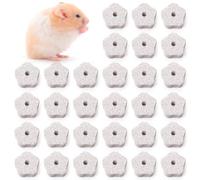 DEAYOU 30 Pack Chinchilla Lava Block, Flower Shape Rabbit Teeth Grinding Stone, Small Animal Chew Toys Mineral Calcium Block for Hamster, Squirrel, Rat, Parrot, Bunny