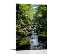 DEBAOKA Fantasy Forest Canvas Wall Art Prints Nature River Stone Vintage Moss Painting Art Poster Framed Artwork for Home Bedroom Living Room Office Wall Decor
