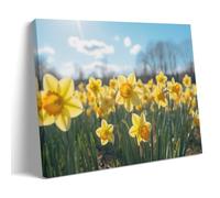 DEBAOKA Yellow Daffodils Wall Art for Living Room Farmhouse Flowers Summer Garden Paintings on Canvas Wall Art Poster for Home Decorations Wall Decor