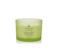 Chesapeake Bay Candle Mind & Body Awaken & Invigorate scented candle I. 312 g
