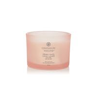 Debenhams 3-Wick Jar Candle - Stillness & Purity 312G In Pink pink DO NOT USE - 312 g