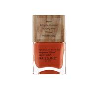 Debenhams 73% Plant Power Vegan Nail Polish (Various Shades) In What On Earth what on earth