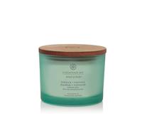 Debenhams Balance + Harmony 3 Wick Candle In Light Green light green One Size