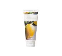 Debenhams Basil Lemon Body Smoothing Milk In Clear clear