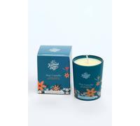 Debenhams Bitter Orange, Pink Pepper, & Hay Soy Candle Large 210G multi 210g