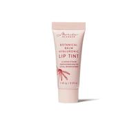 Debenhams Botanical Balm Hyaluronic Lip Tint In Herbst herbst One Size