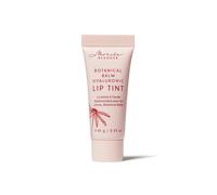 Debenhams Botanical Balm Hyaluronic Lip Tint In Winter winter One Size