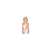 Donna Karan Cashmere Collection Rose Absolu EDP 100ml