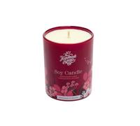 Debenhams Corinader Seed, Geranium, & Vetiver Soy Candle Large 210G multi 210g