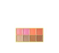 Debenhams Curve Case Matte Blusher Bronzer Palette In Light light