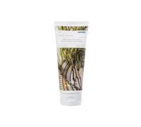 Korres Forest Cedar Body Milk 200 ml