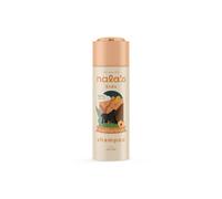 Debenhams Kids Shampoo Tropical 200Ml multi