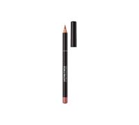 Debenhams Lasting Matte Lip Liner In Mauve Nude mauve nude One Size