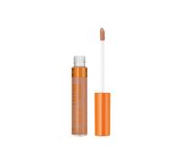 Debenhams Lasting Radiance Concealer In Chestnut chestnut One Size