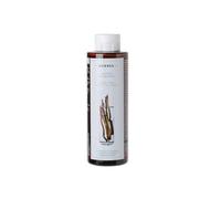 Debenhams Liquorice & Urtica Shampoo In Clear clear One Size