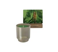 Paranoia + Peppercorn Candle 200g Control and Chaos Multi 200g