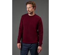 Debenhams Premium Pure Cotton Crew Neck Jumper In Burgundy burgundy XXL
