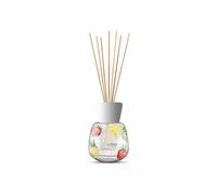 Debenhams Reed Diffuser Iced Berry Lemonade multi One Size