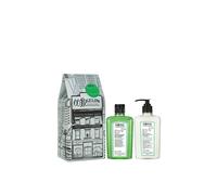 Debenhams Rosemary Mint Body Care Duo - Apothecary Box