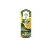 Yankee Candle Sage & Citrus Plug In 2pk Diffuser Refill in Misc Yankee Candle Misc