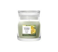 Debenhams Sage & Citrus Small Jar Candle in Misc