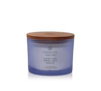 Debenhams Serenity + Calm 3 Wick Candle In Purple purple One Size