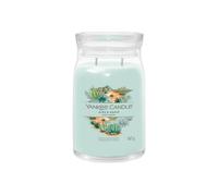 Debenhams Signature Large Jar Aloe & Agave multi