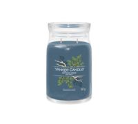 Debenhams Signature Large Jar Bayside Cedar In Blue blue