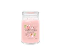 Debenhams Signature Large Jar Candle - Fresh Cut Roses 567G In Pink pink DO NOT USE - 567 g