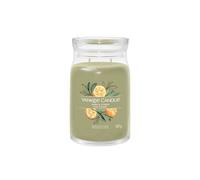 Yankee Candle Signature Sage & Citrus Large Jar Candle