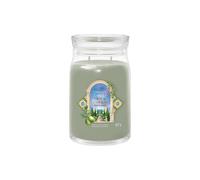 Debenhams Signature Large Jar Olive & Cypress multi