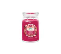 Debenhams Signature Large Jar Santa On Skis multi One Size