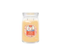 Debenhams Signature Large Jar Slopeside Spritz multi One Size
