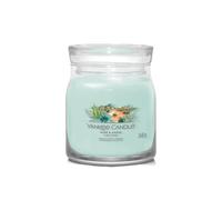 Debenhams Signature Medium Jar Aloe & Agave multi One Size
