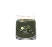 Debenhams Silver Sage & Pine Signature Medium Jar Candle multi One Size