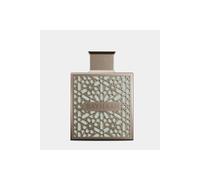 Rayhaan Terra 100ml Eau De Parfum Spicy, Woody Unisex Perfume