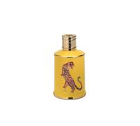 Debenhams Tiger Yellow Diffuser Set 500Ml multi